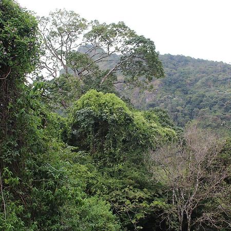 Mamallena Eco Lodge La Laguna de San Carlos 외부 사진