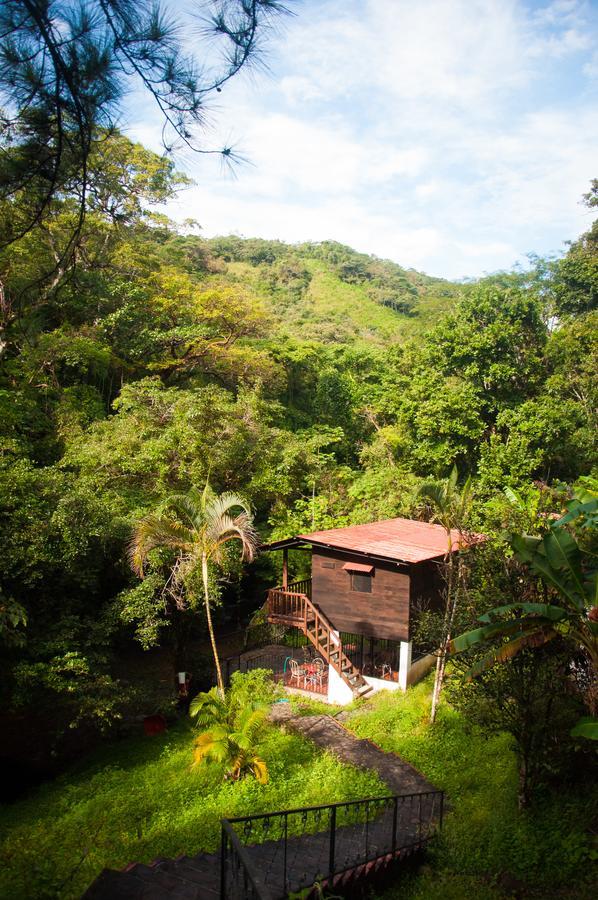 Mamallena Eco Lodge La Laguna de San Carlos 객실 사진