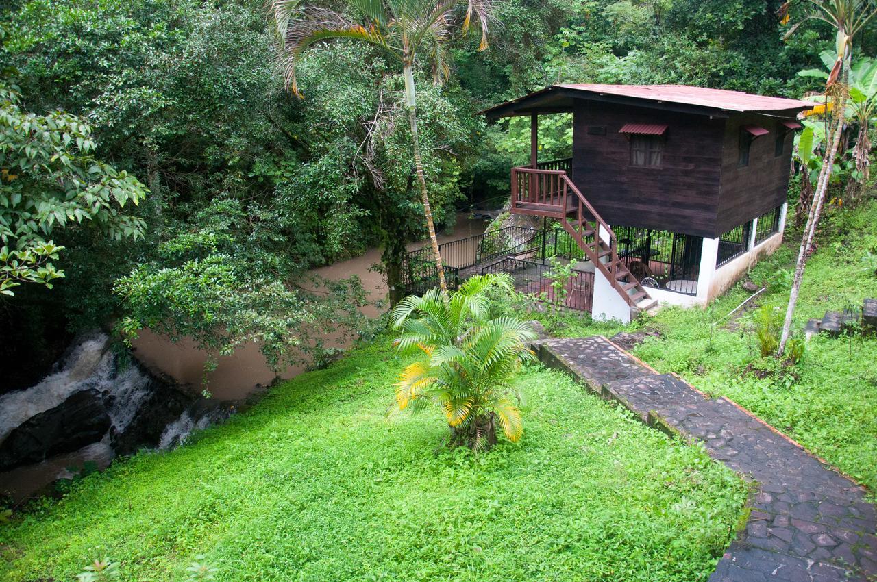 Mamallena Eco Lodge La Laguna de San Carlos 객실 사진