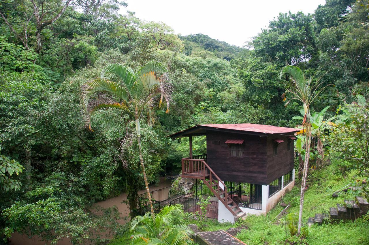 Mamallena Eco Lodge La Laguna de San Carlos 외부 사진