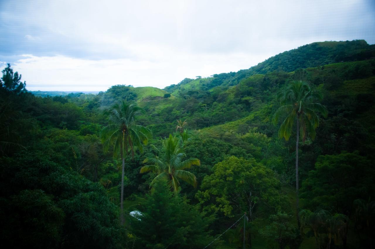 Mamallena Eco Lodge La Laguna de San Carlos 외부 사진