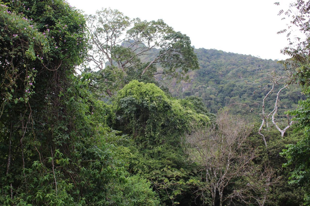 Mamallena Eco Lodge La Laguna de San Carlos 외부 사진