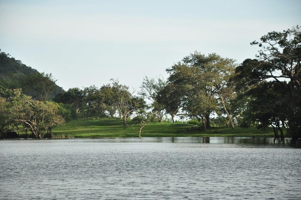 Mamallena Eco Lodge La Laguna de San Carlos 외부 사진