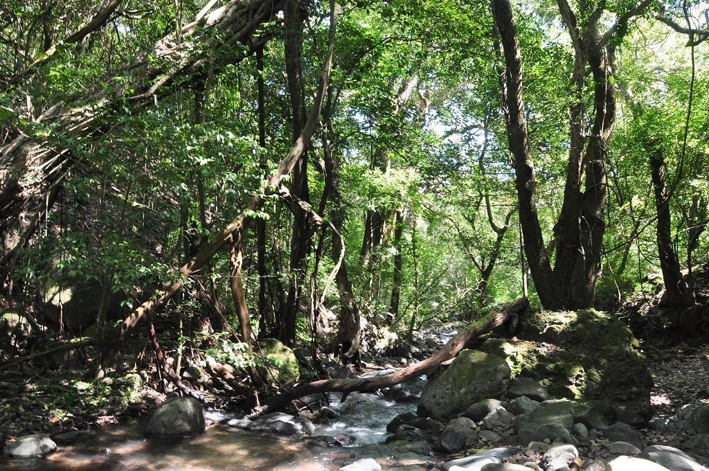 Mamallena Eco Lodge La Laguna de San Carlos 외부 사진